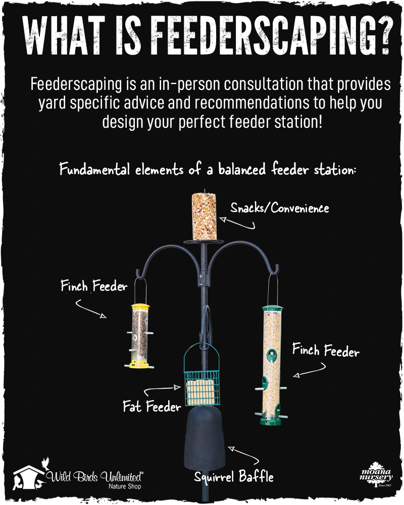 Feederscaping Consultation