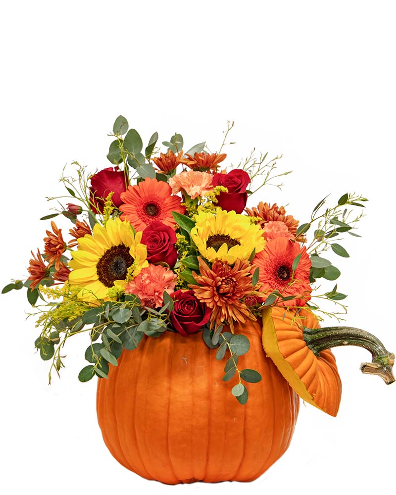 Pumpkin Spice Floral Arrangement from $50-$85