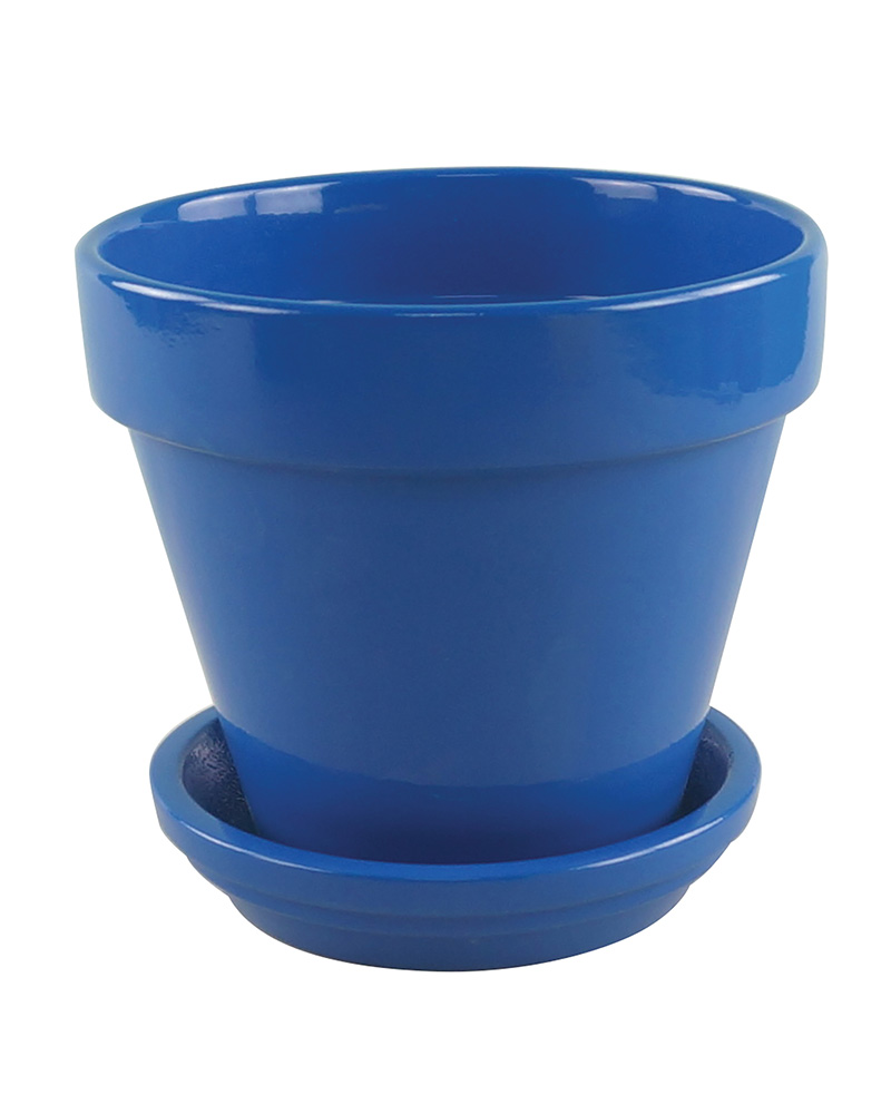 2.75\" Standard Pot Bright Assorted Colors