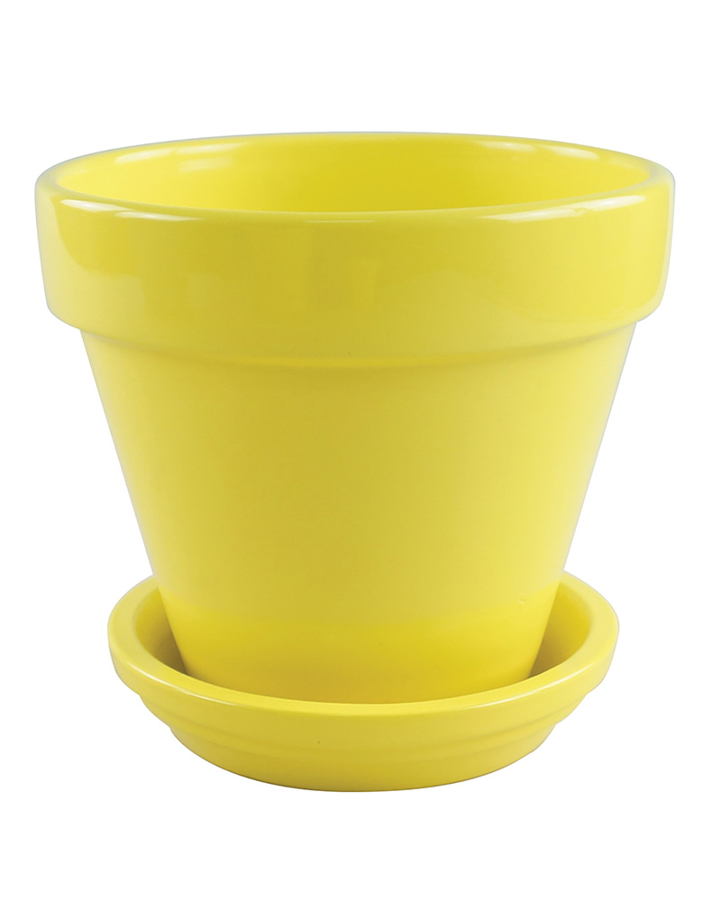 2.75\" Standard Pot Bright Assorted Colors