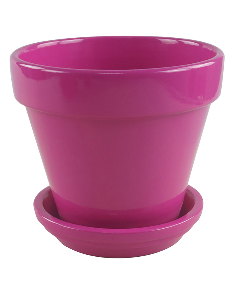 2.75\" Standard Pot Bright Assorted Colors