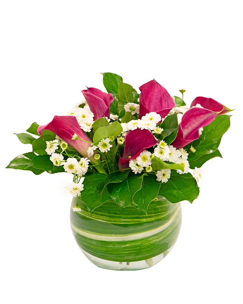 "Calla Fornia" Lilies Floral Arrangement from $65-$95