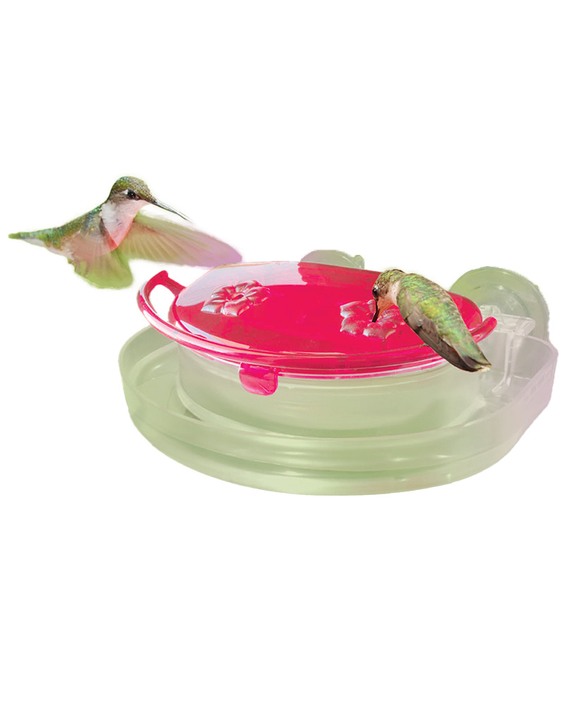 Decorative Mini Window Hummingbird Feeder