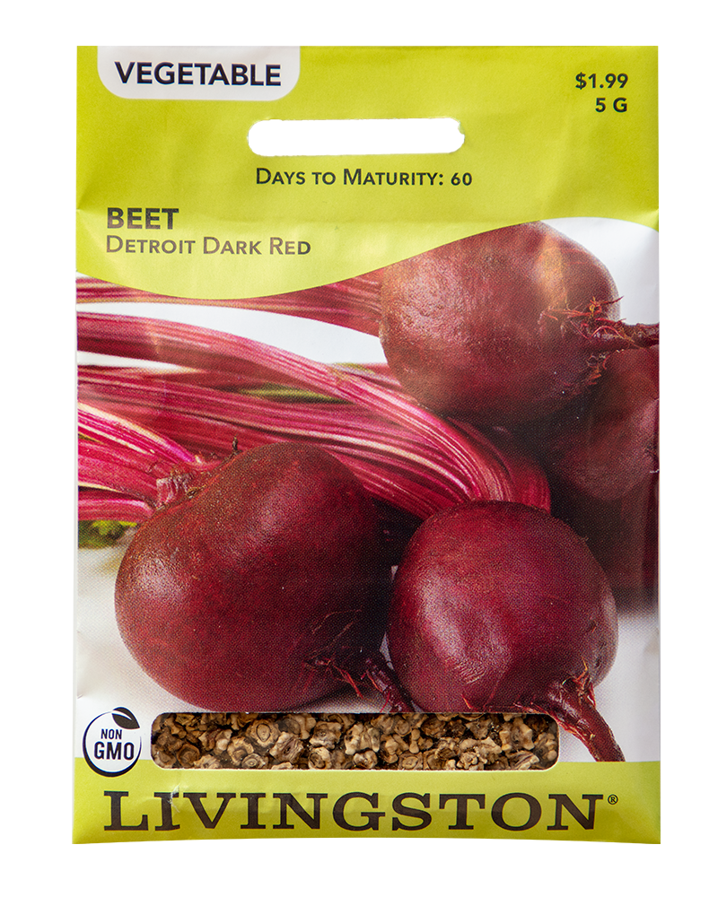 Beet Detroit Dark Red