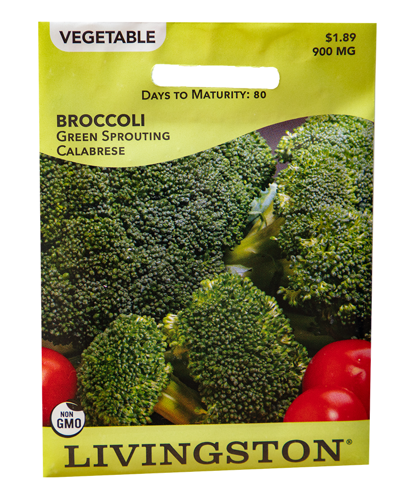 Broccoli Green Sprouting Calabrese