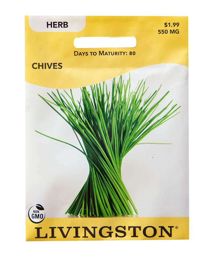 Chives