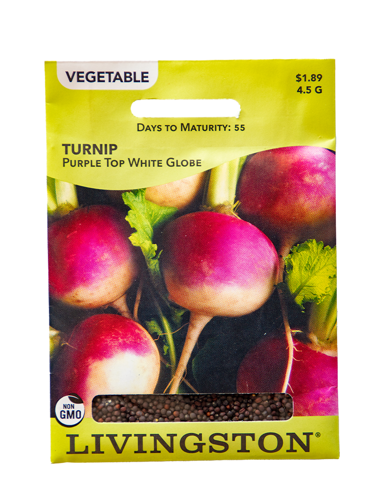 Turnip Purple Top White Globe