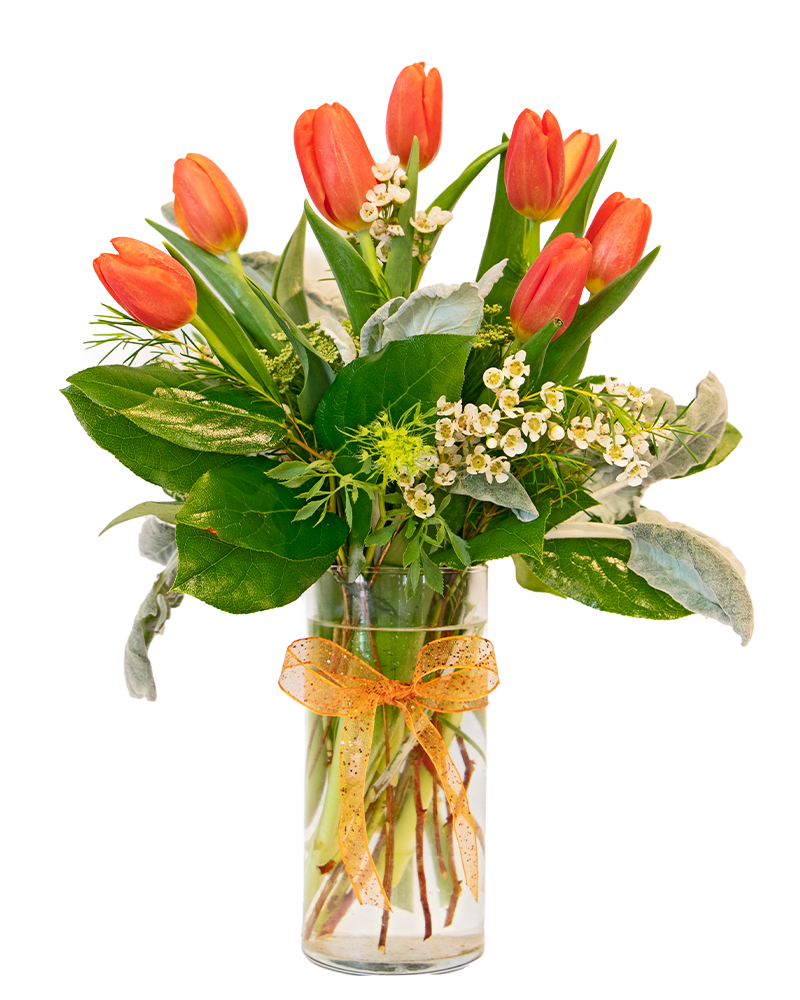 Timeless Tulips Floral Arrangement from $70-$100