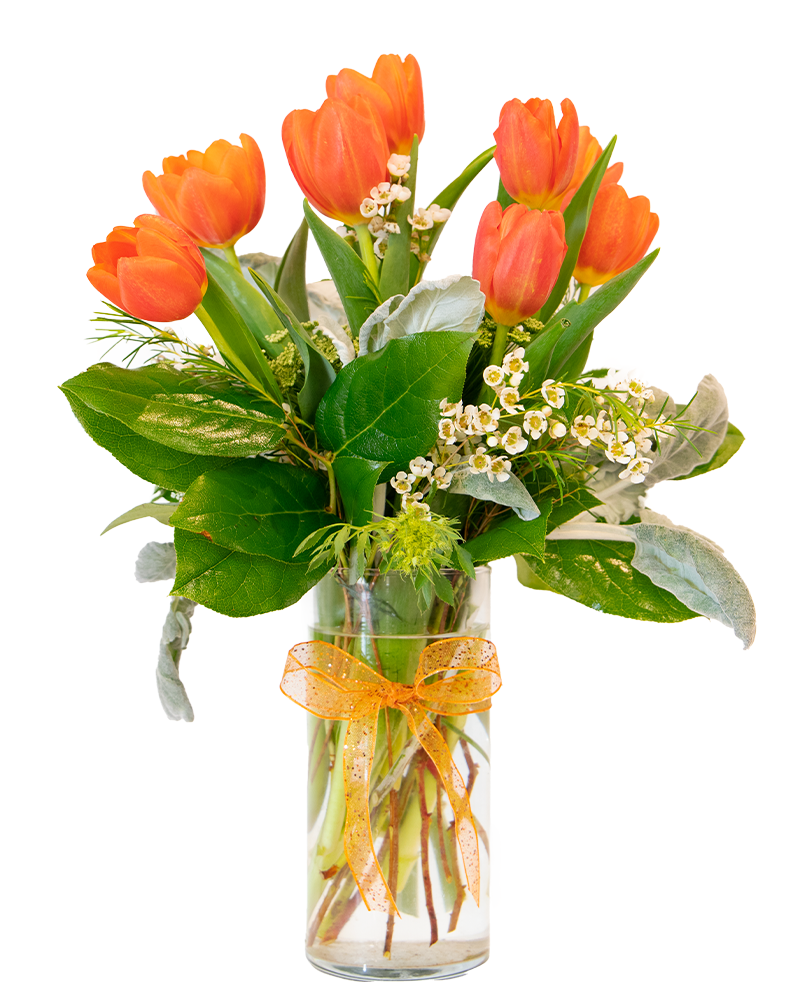 Timeless Tulips Floral Arrangement from $70-$100