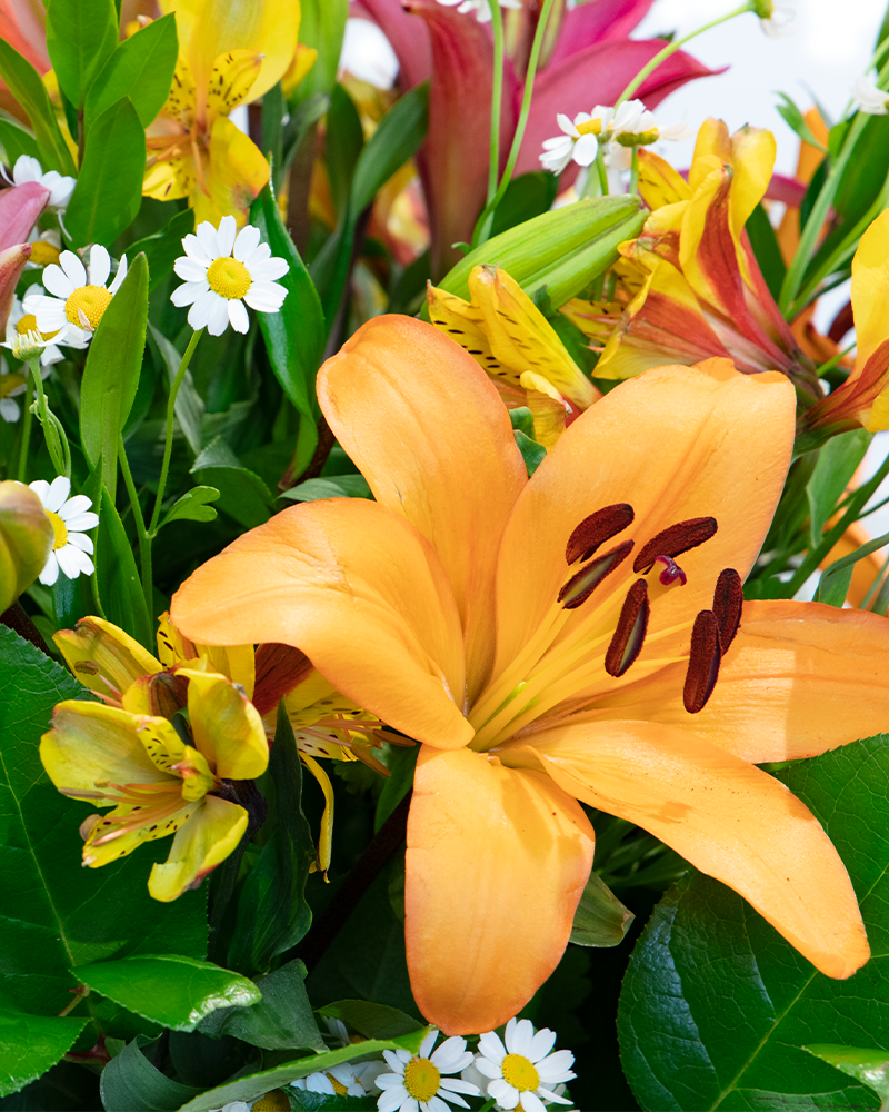 Lovely Lilies Floral Arrangement from $80-$100