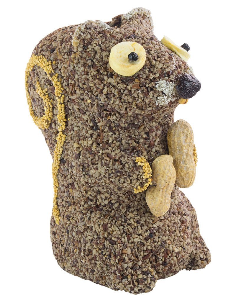 Peanut the Squirrel Seed Character