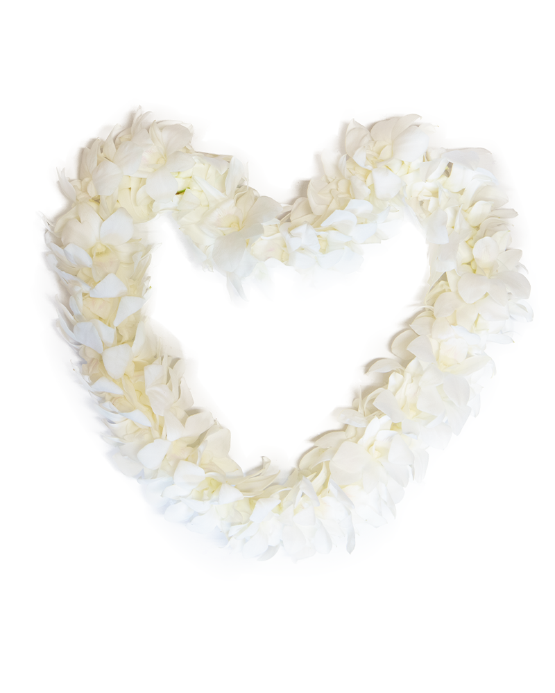 White Graduation Orchid Lei