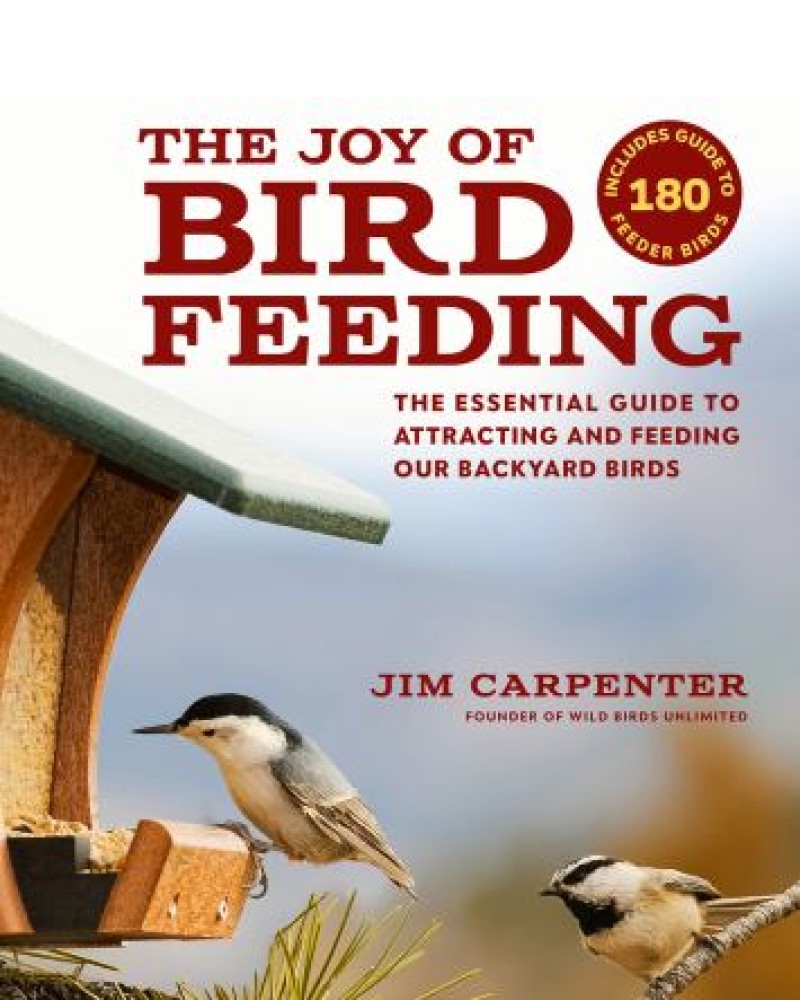 The Joy of Bird Feeding