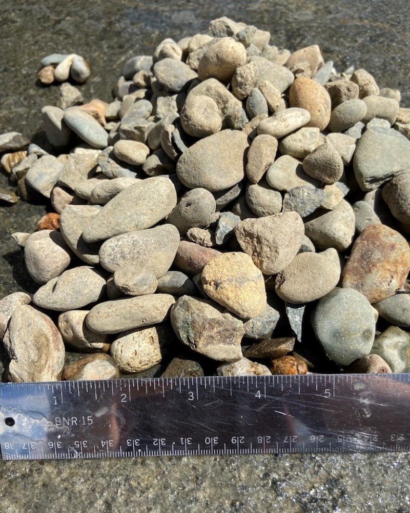 Sierra River Rock 1 1/2"